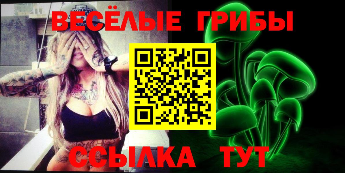 Псилоцибиновые грибы мухоморы  Вход с VPN  Гусев 